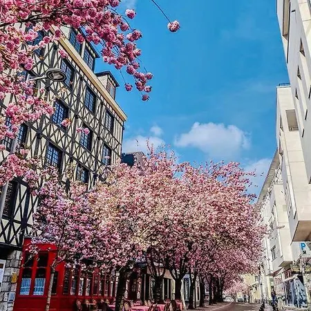 Le Cloudy - @kreativehome_ *